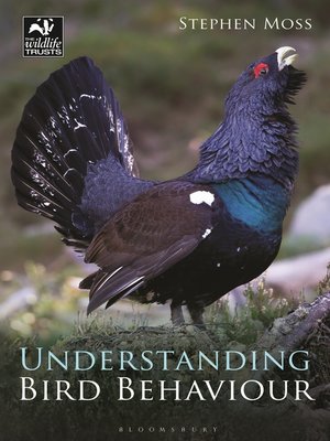 cover image of Understanding Bird Behaviour